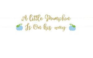 a little pumpkin is on his way