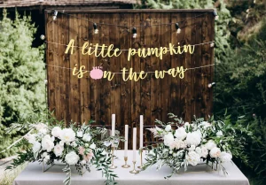 a little pumpkin is on the way pink
