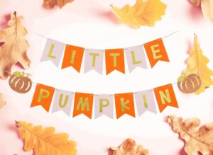 fall colors little pumpkin banner