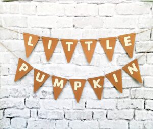 little pumpkin classic banner