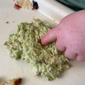 Avocado Chicken Salad baby led weaning recipe
