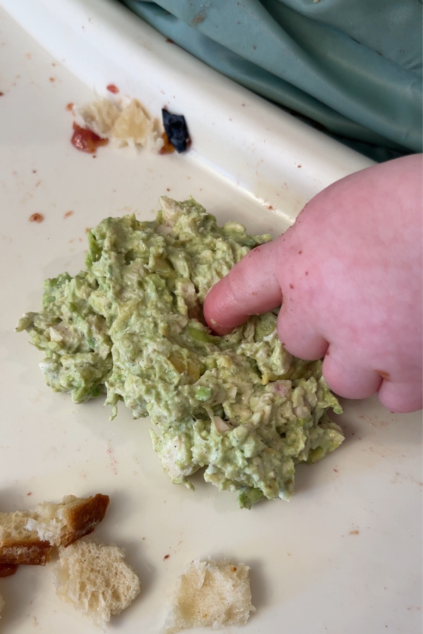 Avocado Chicken Salad baby led weaning recipe